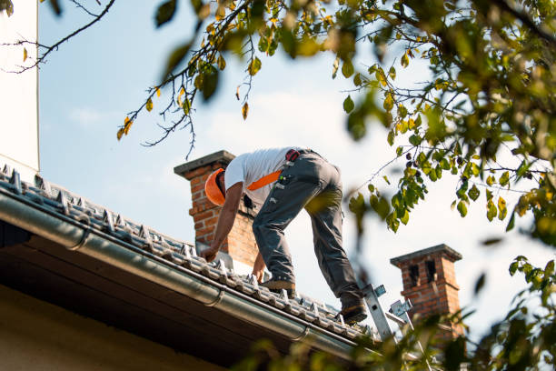 Best New Roof Installation  in Lake Mills, WI